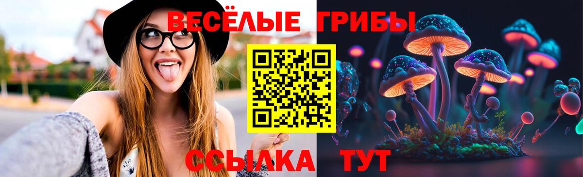 Псков  цена   Псилоцибиновые грибы Psilocybe  Вход с VPN  Галлюциногенные грибы прущие грибы 